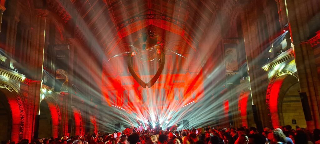 New Year's Eve celebration at the Natural History Museum London with stunning lights, decor, and festive atmosphere.
